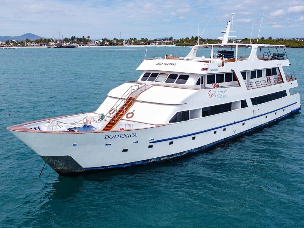 sol&aacute;rium del crucero estrella de mar gal&aacute;pagos