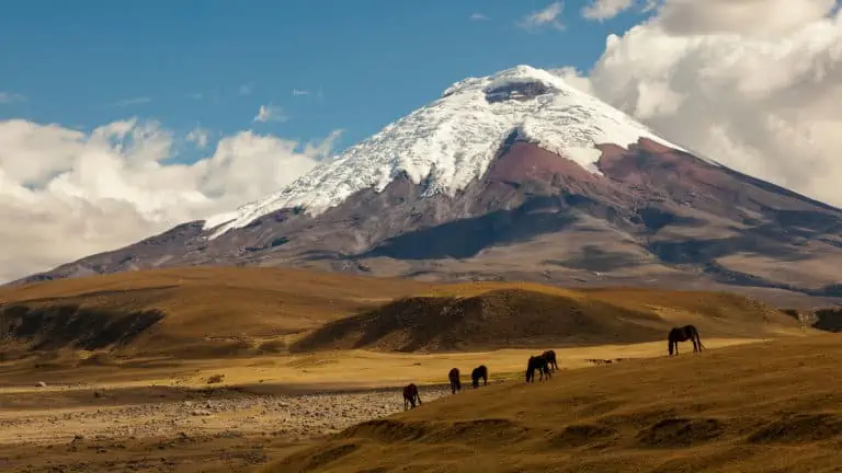 cotopaxi full day tour
