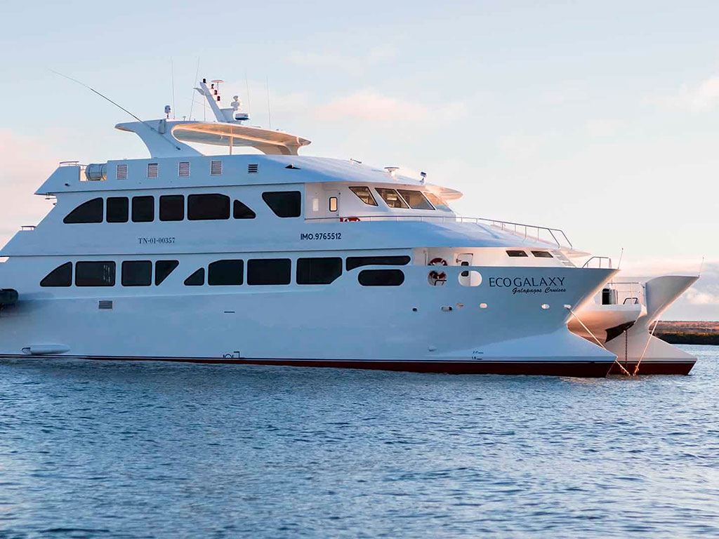 Exterior del catamar&aacute;n eco galaxy.