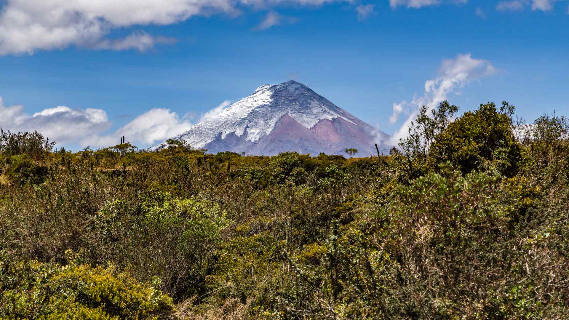 cotopaxi
